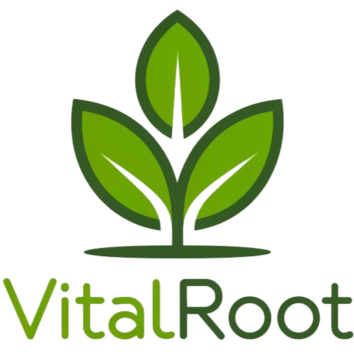 VitalRootWorkshop