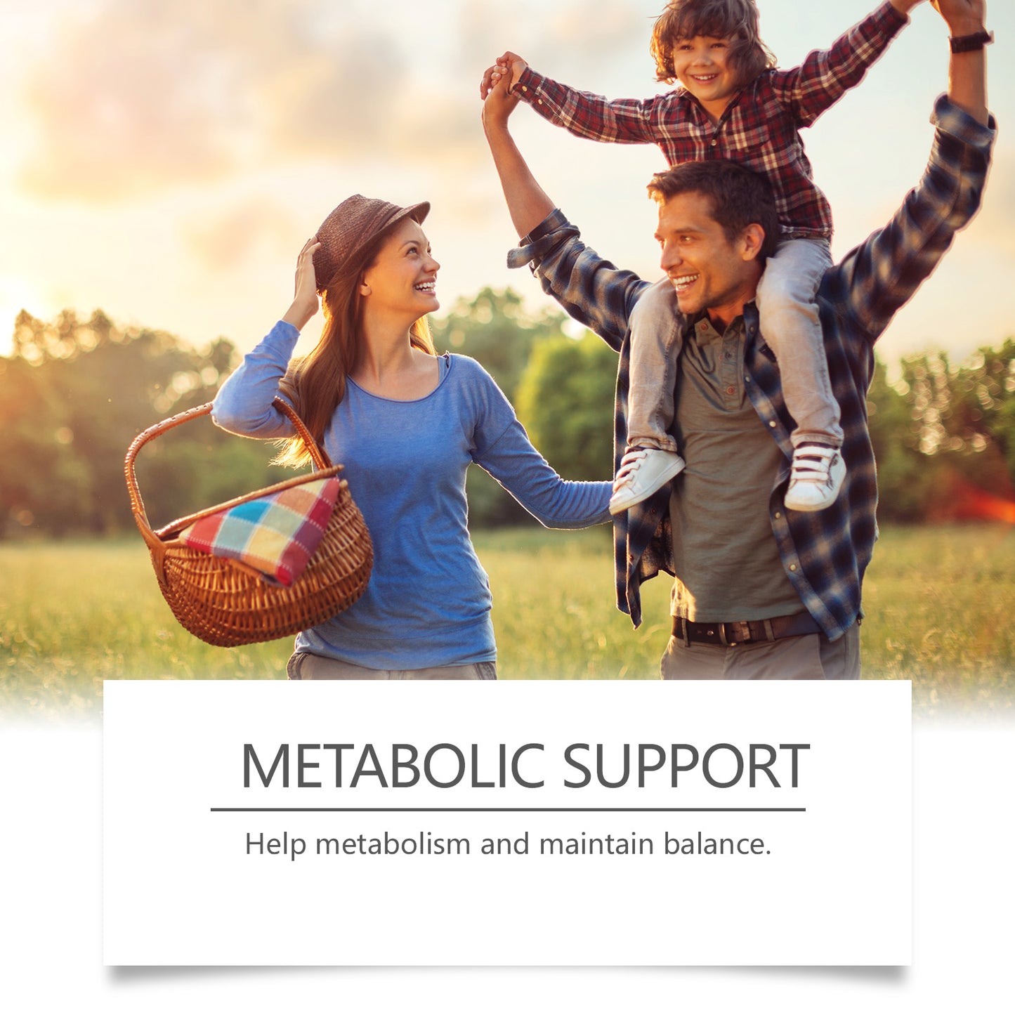 Body Vitamin Nutritional Supplement Drops: Gentle absorption without burden, nourishing and managing the body.