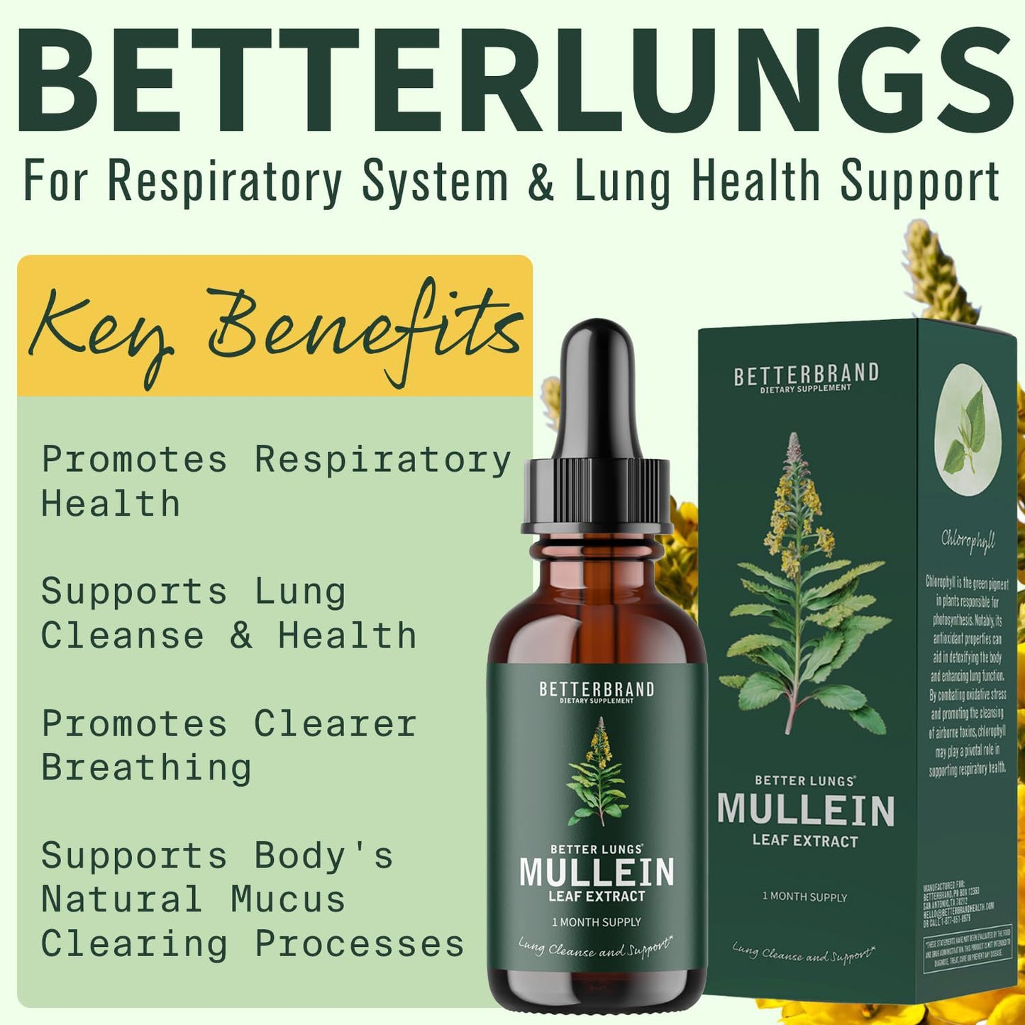Mullein Leaf Extract Drops-YAO