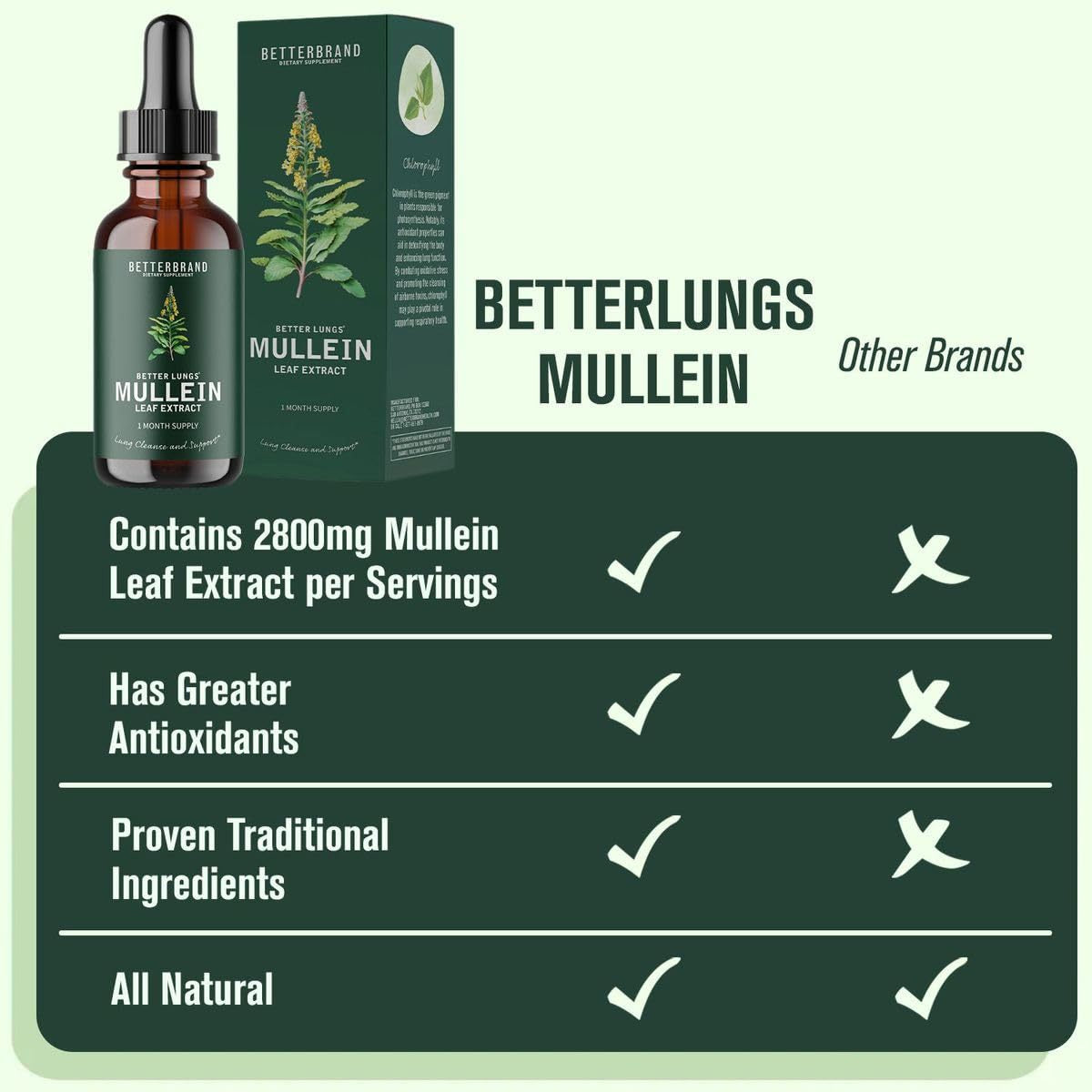 Mullein Leaf Extract Drops-YAO