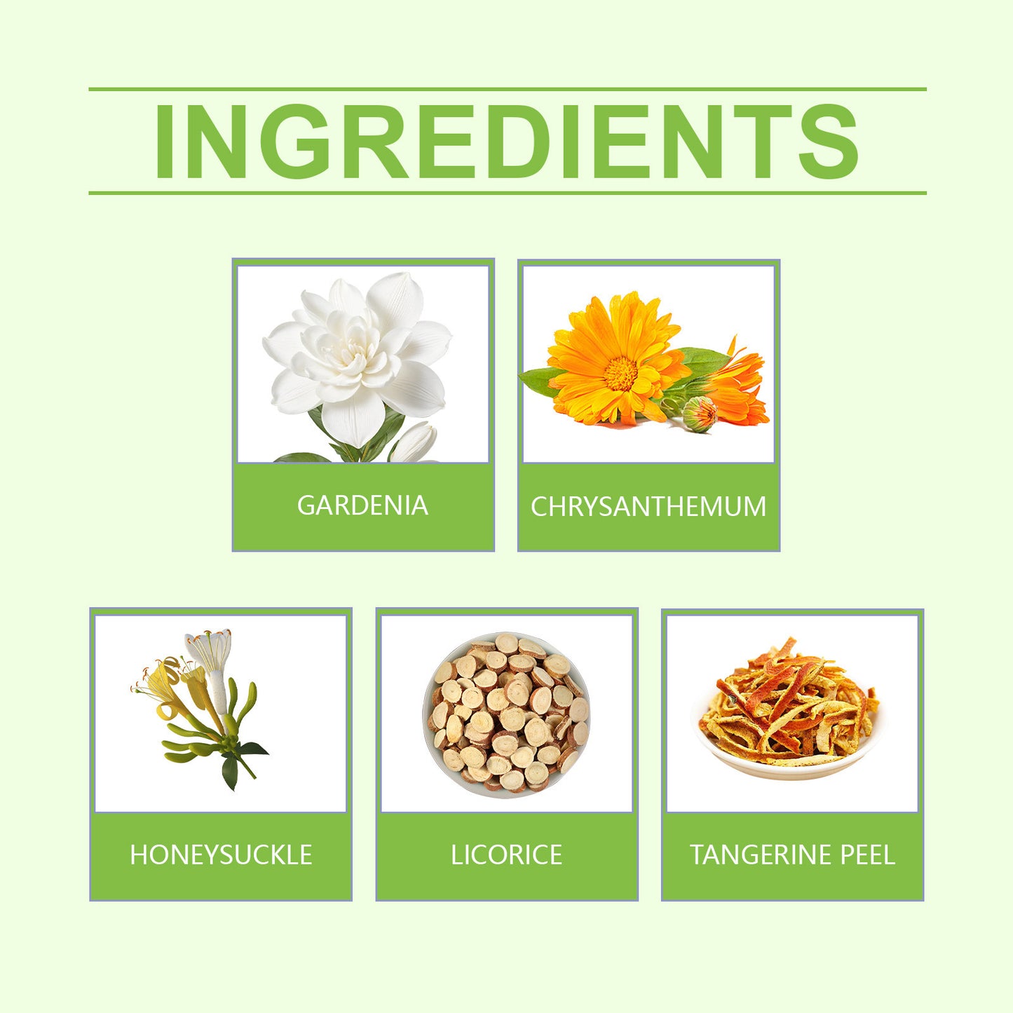 Googeer Chicory And Gardenia Tea Body Treatment-YAO