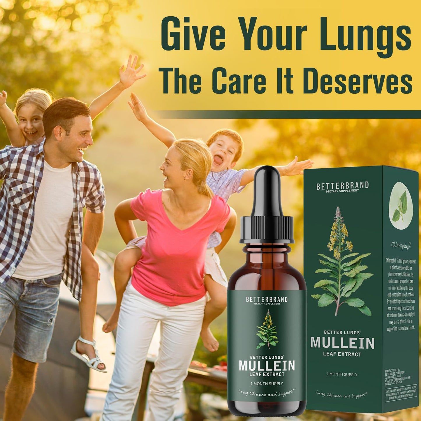 Mullein Leaf Extract Drops-YAO